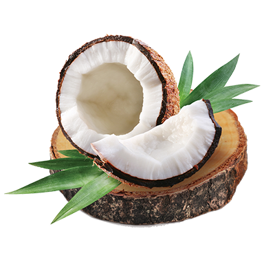 Kokosnuss